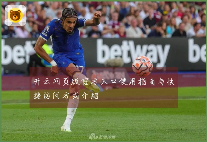 开云网页版官方入口使用指南与快捷访问方式介绍